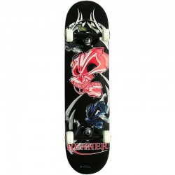 Renner A Series Complete Skateboard - Jax Extreme A16